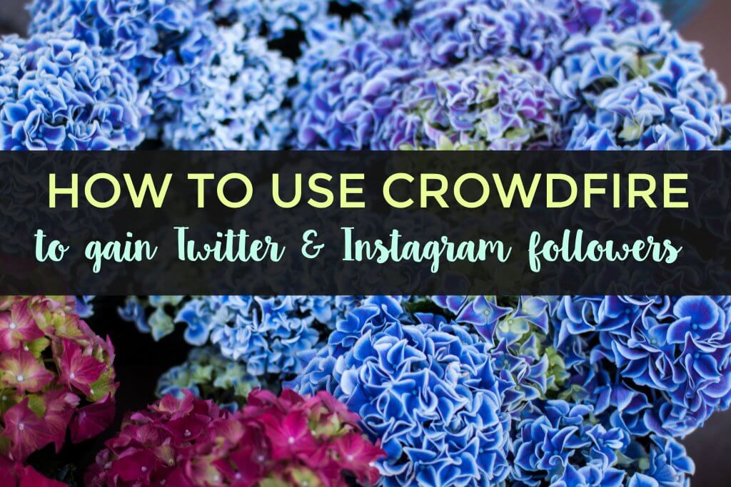 How to Use Crowdfire to Gain Twitter + Instagram Followers - 1024 x 683 jpeg 130kB